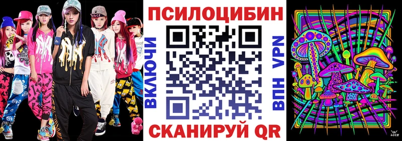 цены omg ССЫЛКА Псилоцибиновые грибы прущие грибы Озёрск